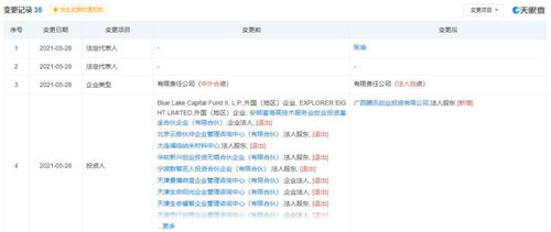 廣告剩余軟件開發(fā) 實(shí)現(xiàn)高效廣告投放與優(yōu)化